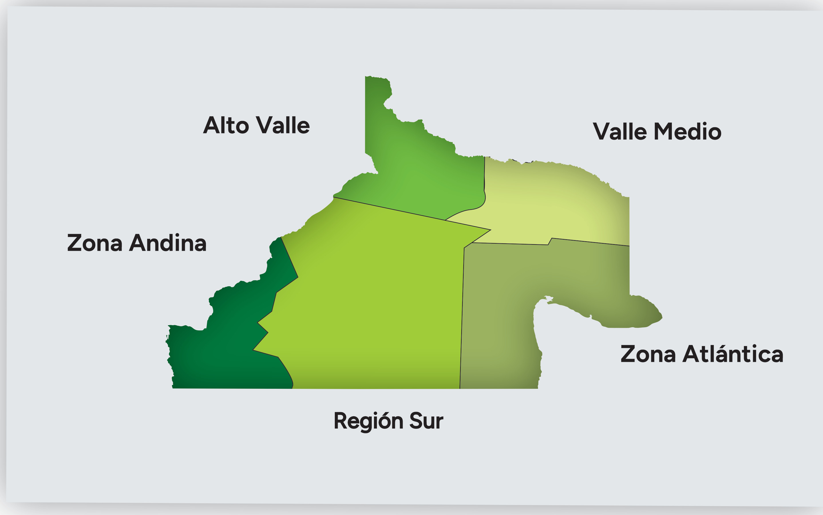 Mapa Regiones Rio Negro