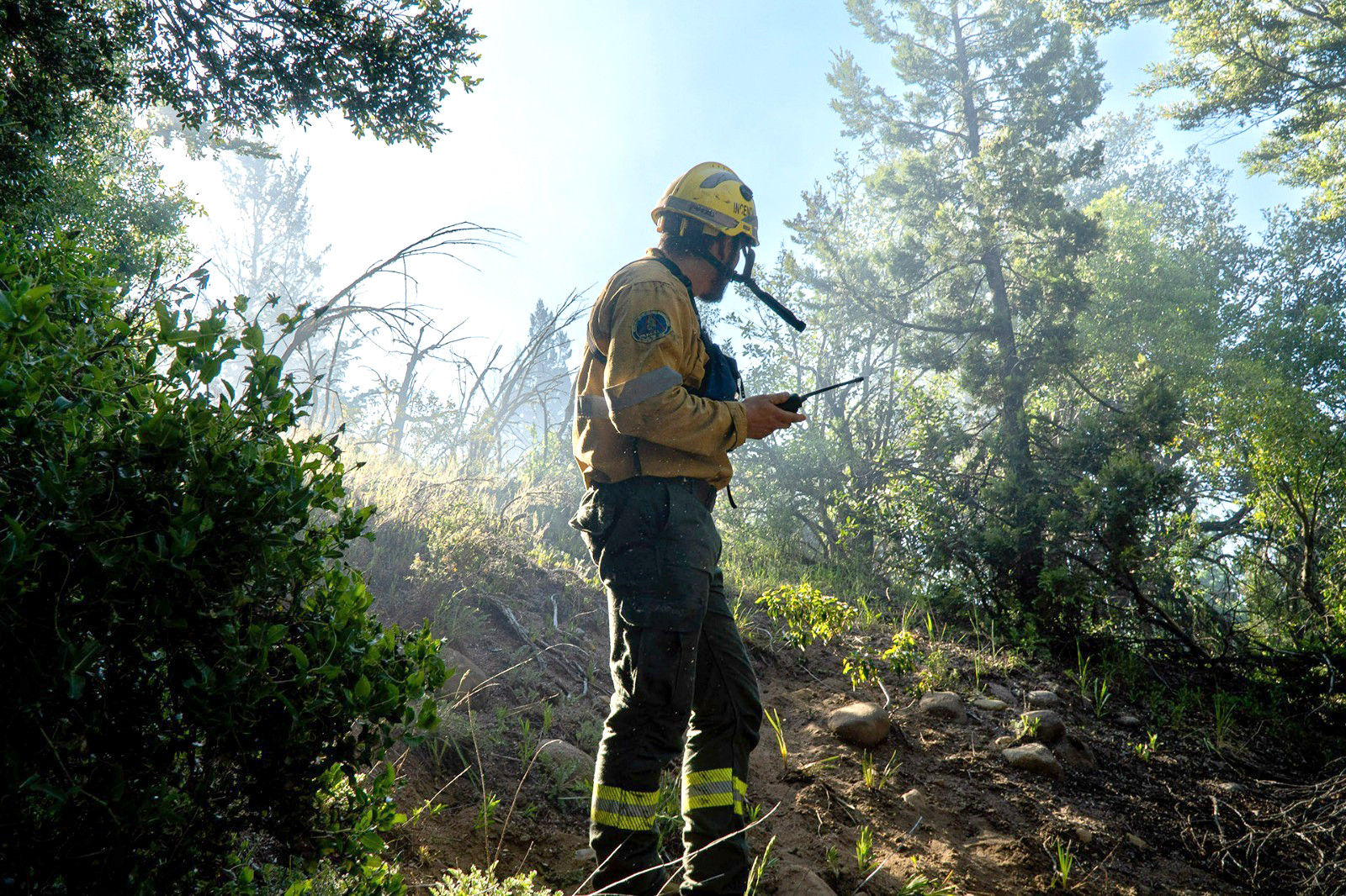 Brigadista Splif Bariloche